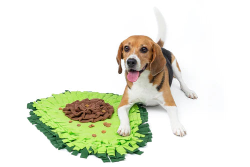 Injoya Snuffle Mat - Avocado