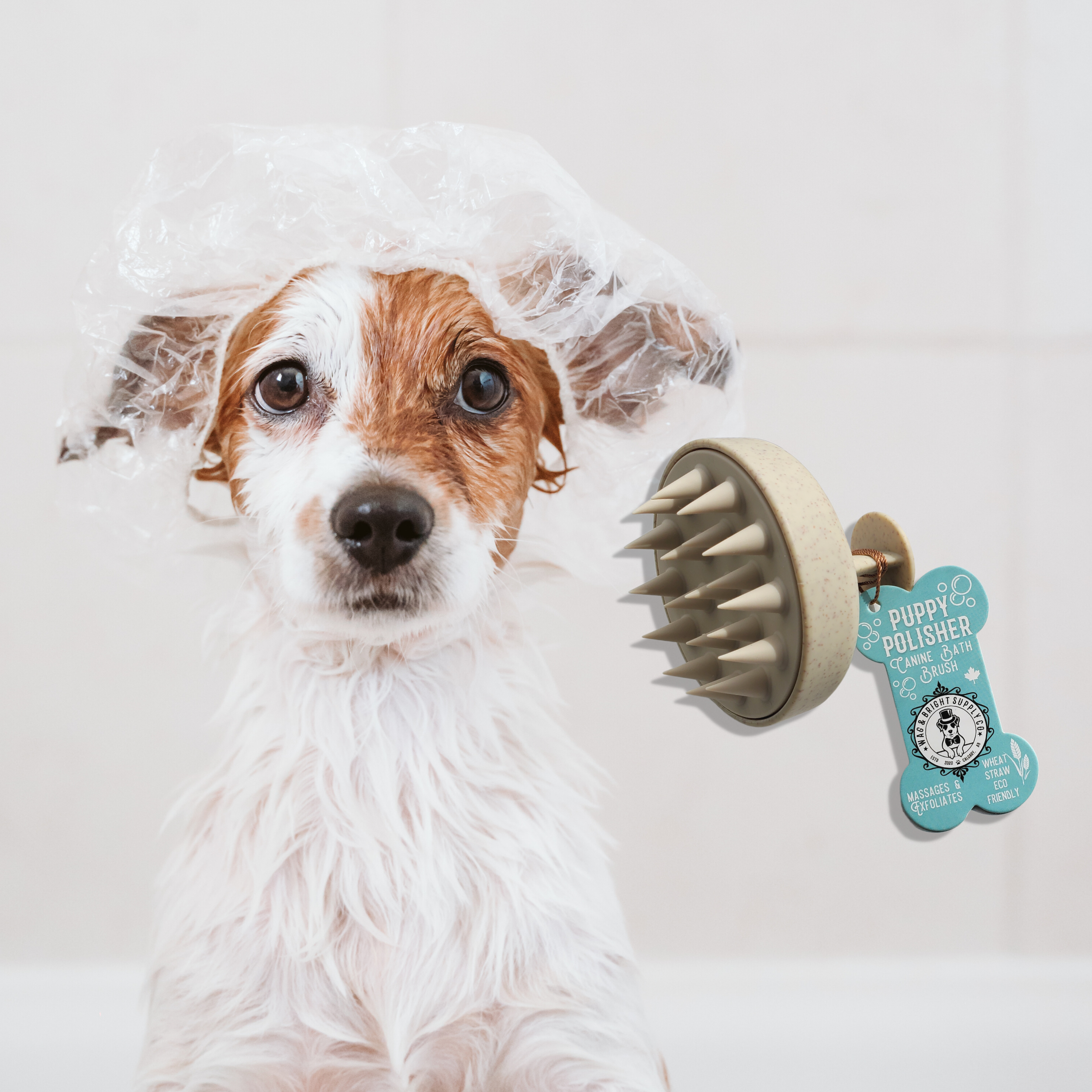 Wag & Bright Biodegradable Shampoo Brush