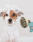 Wag & Bright Biodegradable Shampoo Brush