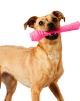 Project Hive Floating Fetch Stick - Wild Berry Scent