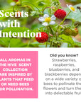 Project Hive Floating Fetch Stick - Wild Berry Scent