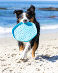 Project Hive Floating Frisbee Disc - Vanilla Scent