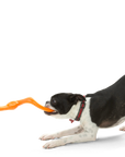 West Paw Bumi® Toy