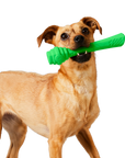 Project Hive Floating Fetch Stick - Tropical Coconut
