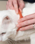 Wondercide Flea & Tick Collar