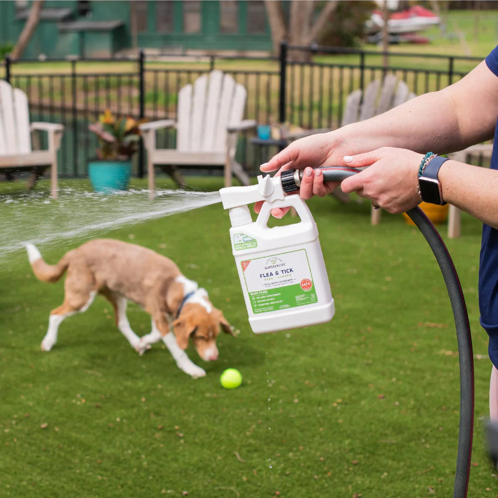 Natural flea treatment for yard clearance