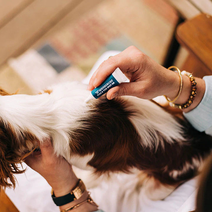 Wondercide Flea & Tick Spot On for Dogs & Cats