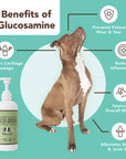 Natural Dog Company - Liquid Glucosamine