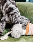 Injoya Boba Time Snuffle Enrichment Toy