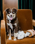 Injoya Boba Time Snuffle Enrichment Toy