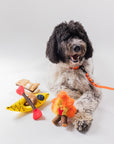 P.L.A.Y. Camp Corbin - K9 Kayak