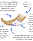 Icelandic+ Large Lamb Horn Dog Treat