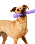 Project Hive Floating Fetch Stick - Lavender Scented