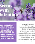 Project Hive Floating Stuff-able Hive - Lavender Scent