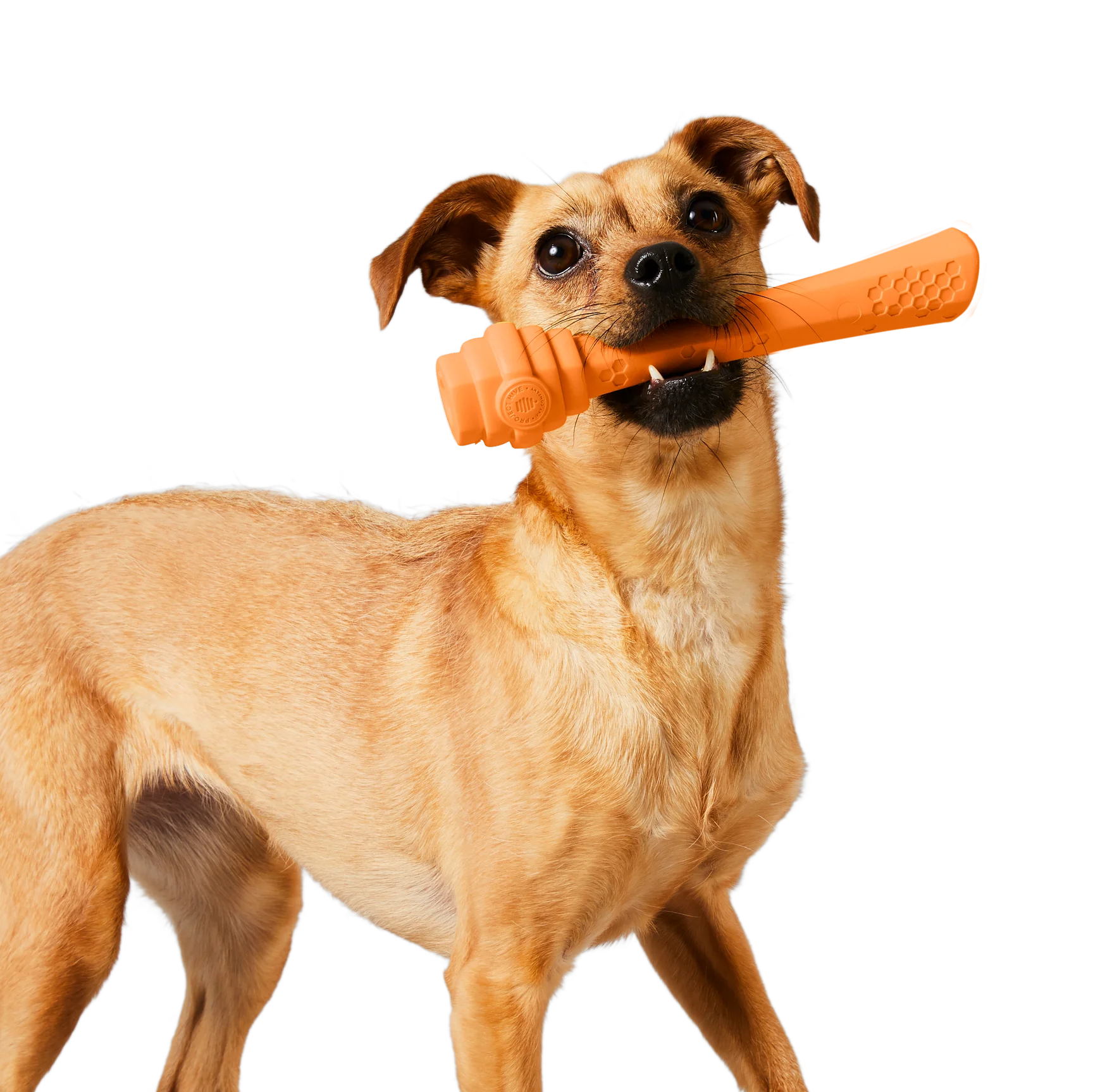 Project Hive Floating Fetch Stick - Mango Scent