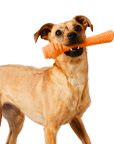 Project Hive Floating Fetch Stick - Mango Scent