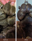 Natural Dog Company - Paw Soother