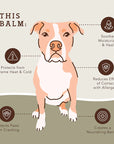 Natural Dog Company - Pawtection