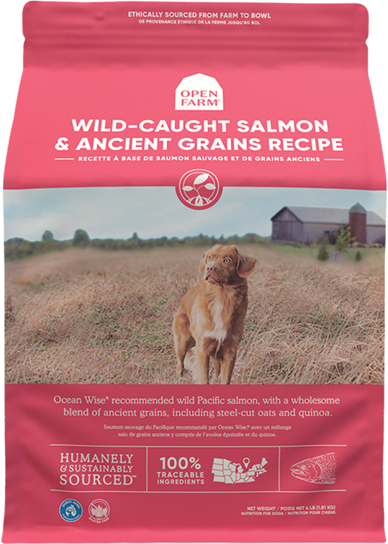 Open Farm Ancient Grain Dog Food Salmon The Modern Dog Company