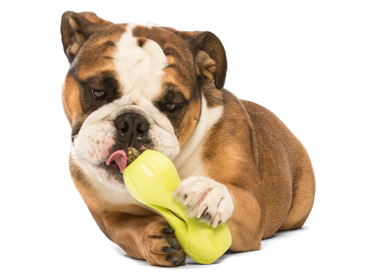 West Paw Qwizl® Toy