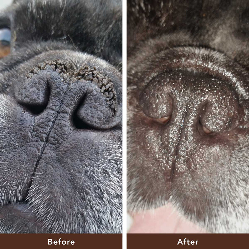 Natural Dog Company - Snout Soother