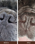 Natural Dog Company - Snout Soother