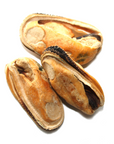 The NZ Natural Pet Food Co. - Freeze Dried Green Mussels