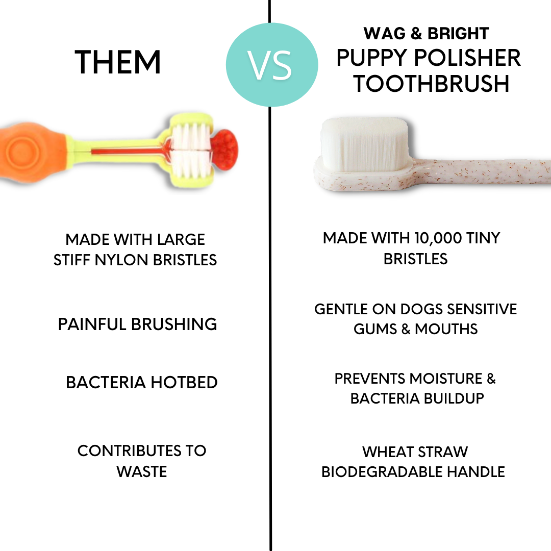 Wag & Bright Polisher Biodegradable Tooth Brush
