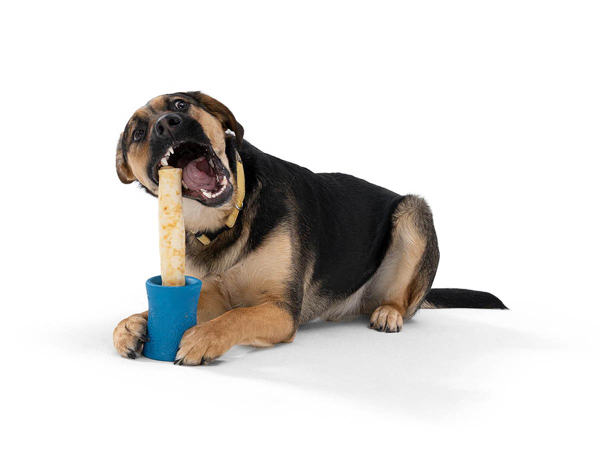 West Paw Funnl Toy