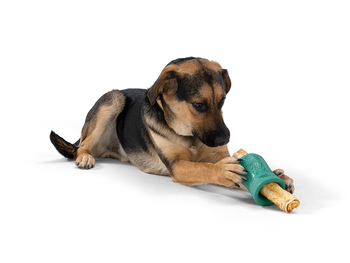 West Paw Funnl Toy