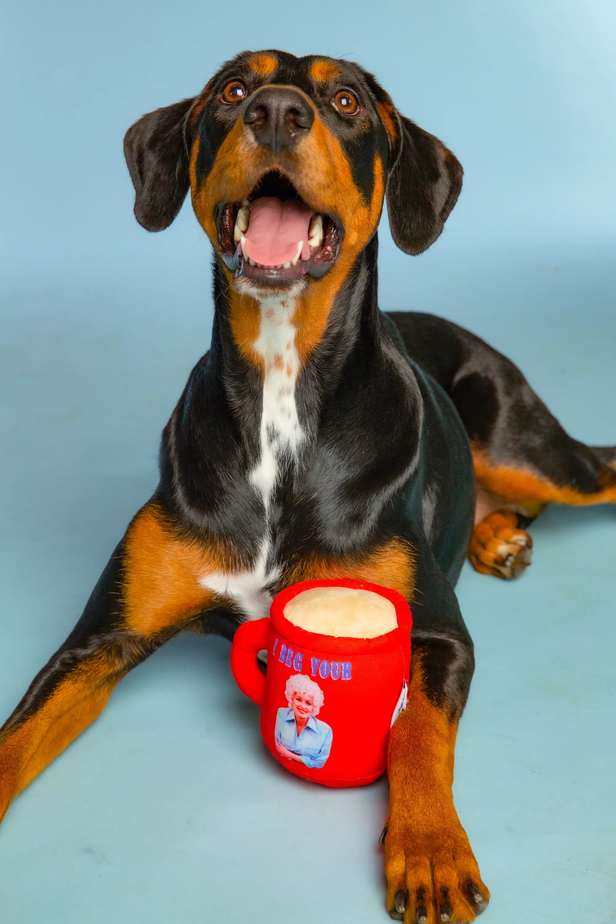 Doggy Parton - I Beg Your Parton Red Coffee Mug Plush Dog Squeaky Toy