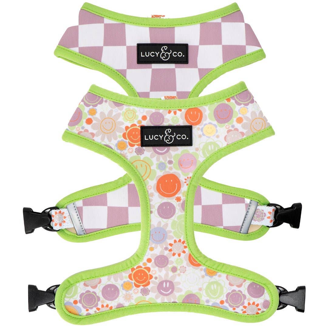 Lucy & Co. - The Checked Out Reversible Harness