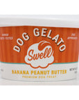 Swell Frozen Gelato