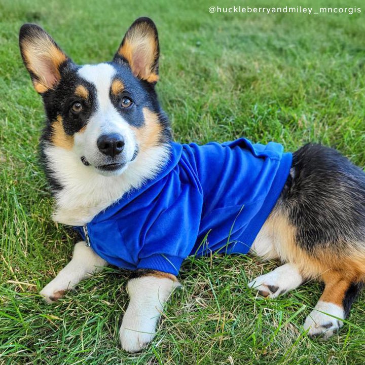 Lucy & Co. Y2K Indie Velour Hoodie - Royal Blue