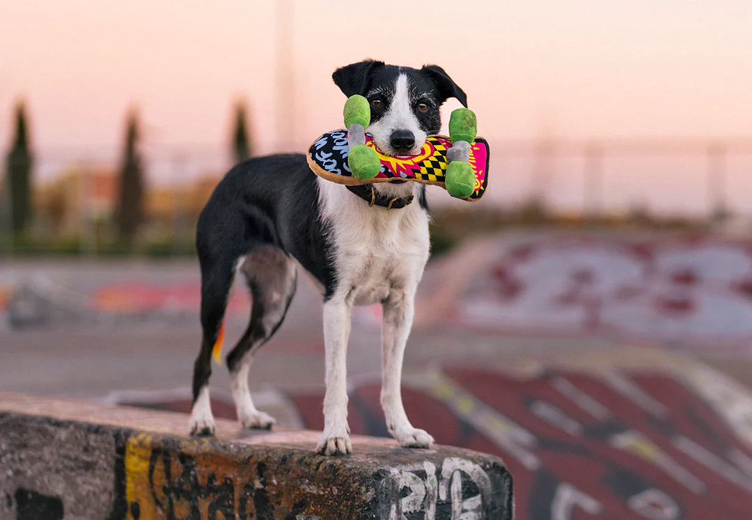 P.L.A.Y 90s Classic - Kickflippin' K9