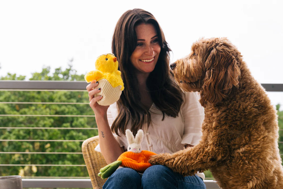 P.L.A.Y. Chick Me Out Easter Toy