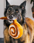 P.L.A.Y. Pet Lifestyles and You - Pup Cup Café - Cinnabone