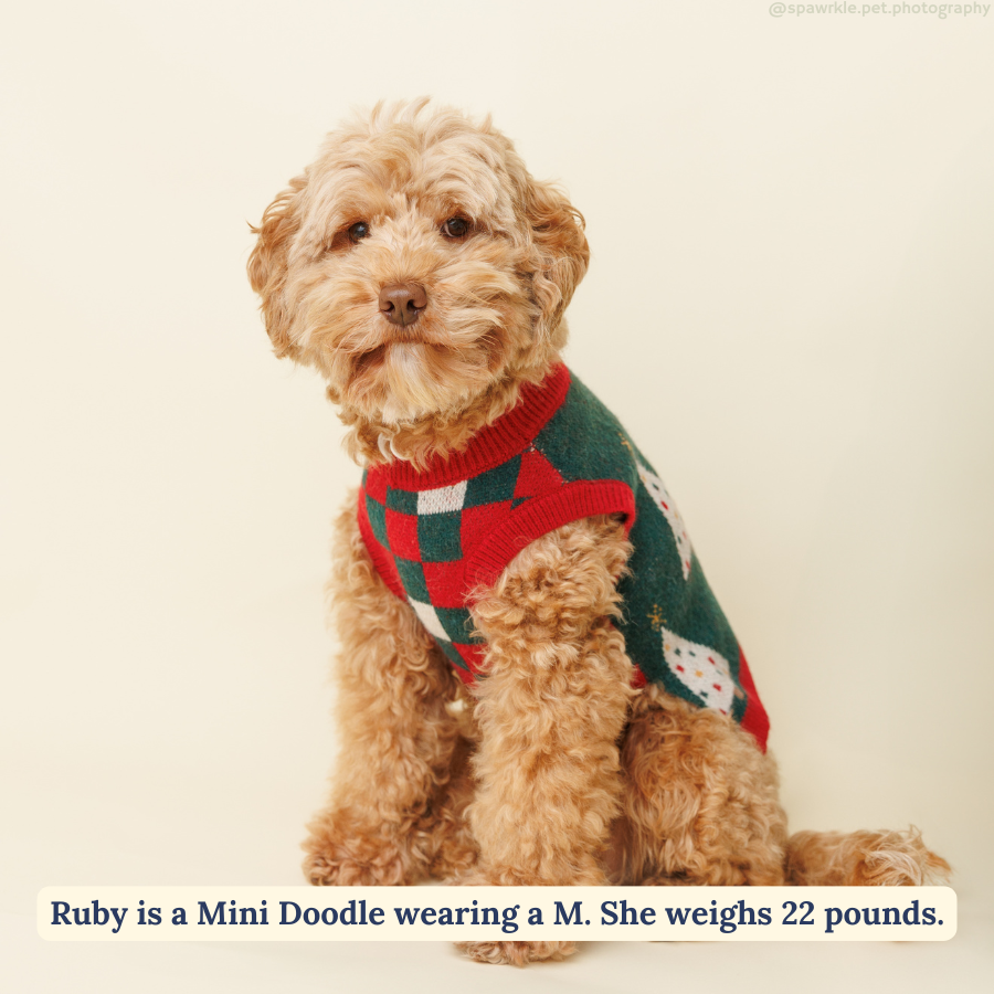 Lucy &amp; Co. - The Oh, Christmas Tree Sweater