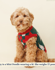 Lucy & Co. - The Oh, Christmas Tree Sweater