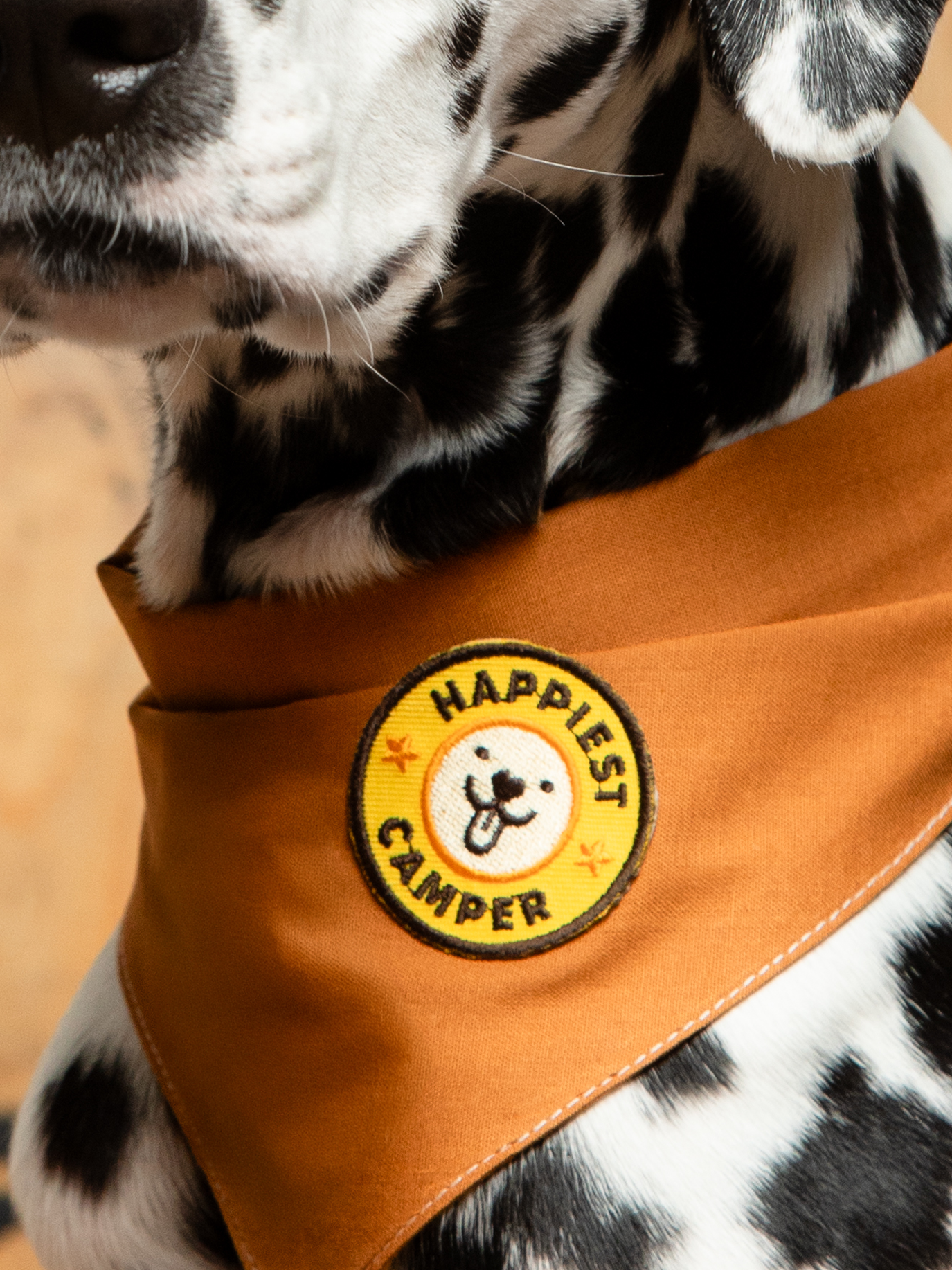 Scout's Honour Pty Ltd - Happiest Camper iron-on patch for dogs and cats