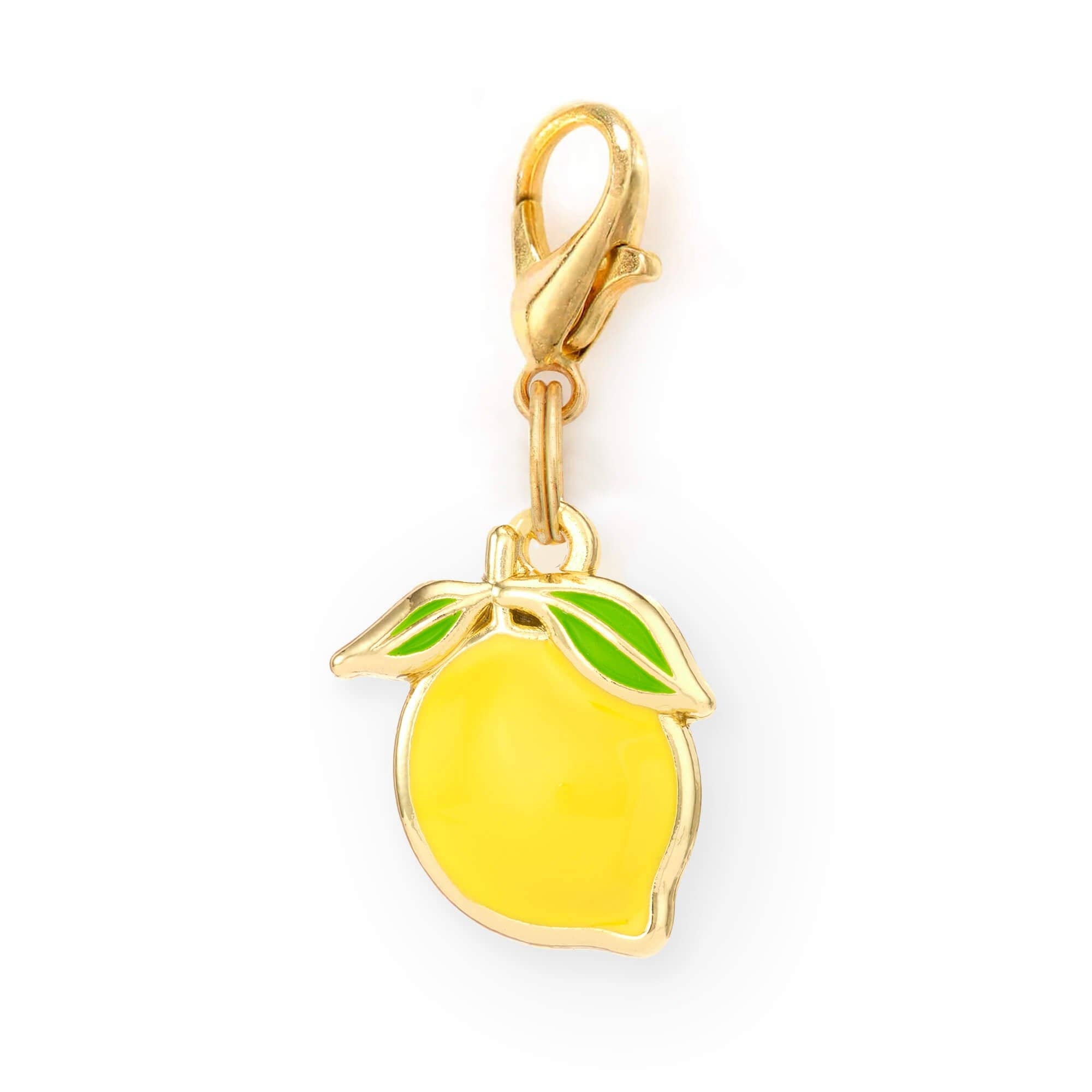 The Foggy Dog - Lemon Collar Charm: Charm Only