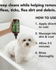 PRIDE+GROOM - THE FLEA+TICK