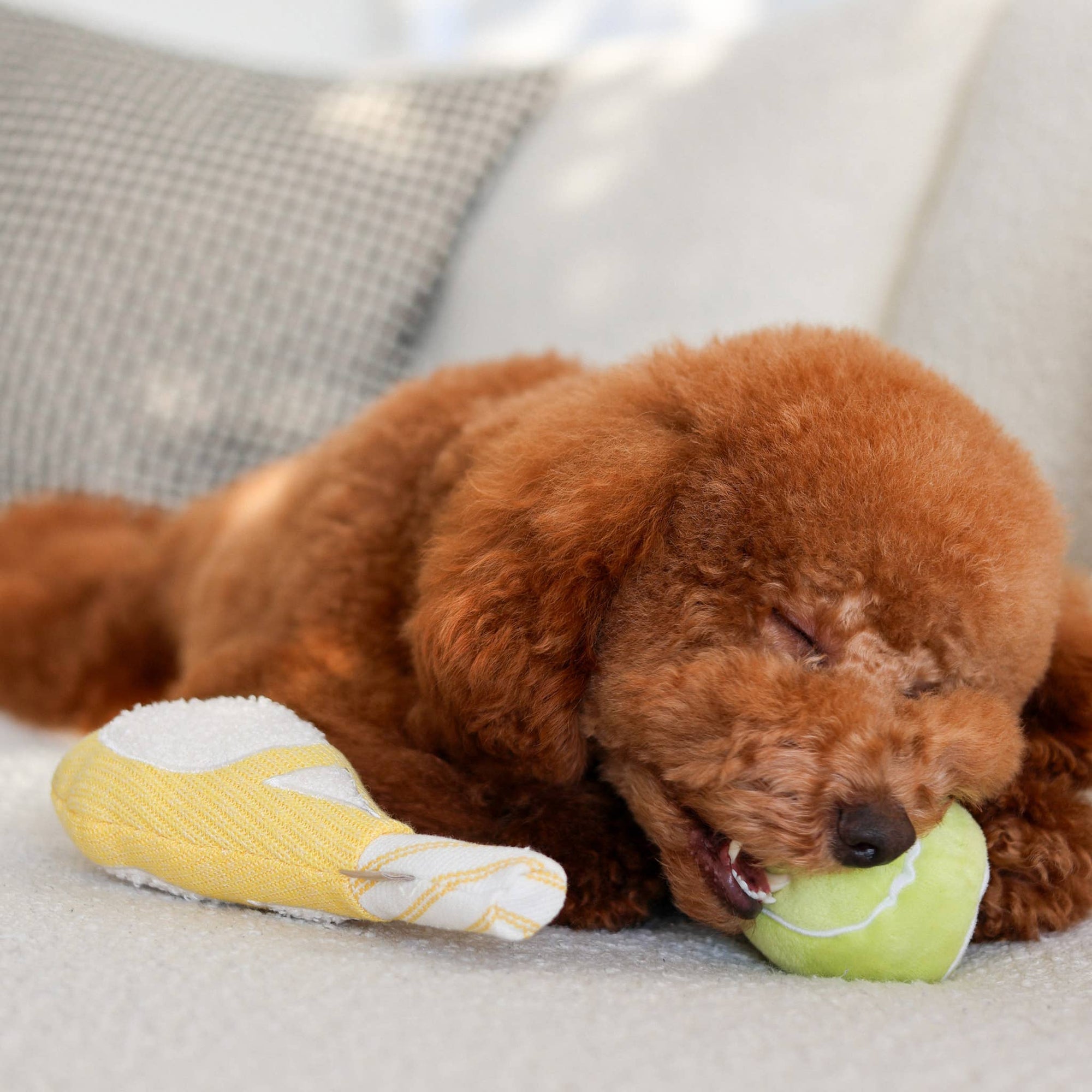 Lambwolf Collective - TENNIS POP // ENRICHMENT DOG TOY // Squeaky Ball Set
