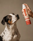 Mlem - Beef Topper Spray For Dogs