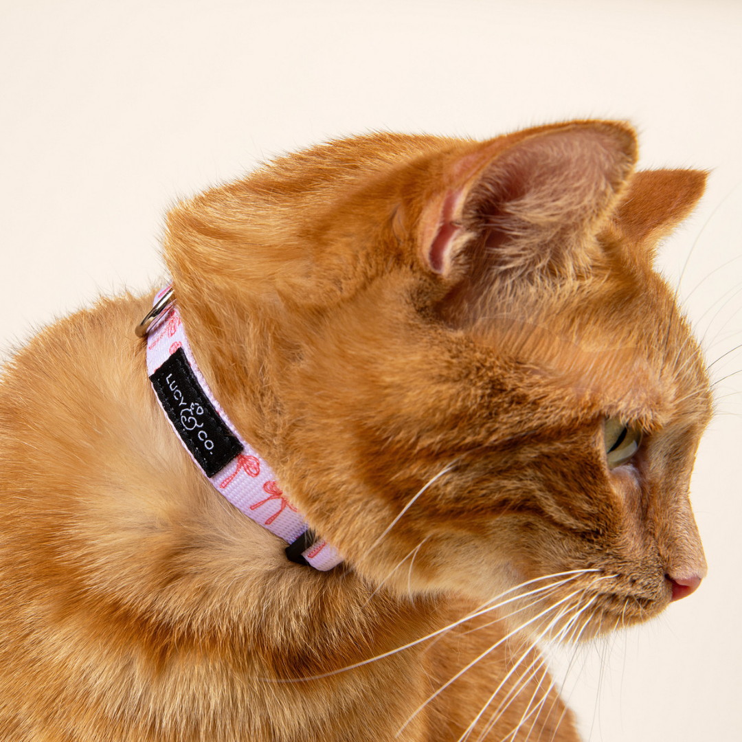 Lucy &amp; Co. - Take a Bow Breakaway Cat Collar: L