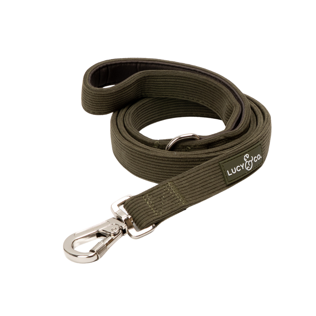 Lucy &amp; Co. - Take a Hike Corduroy Leash