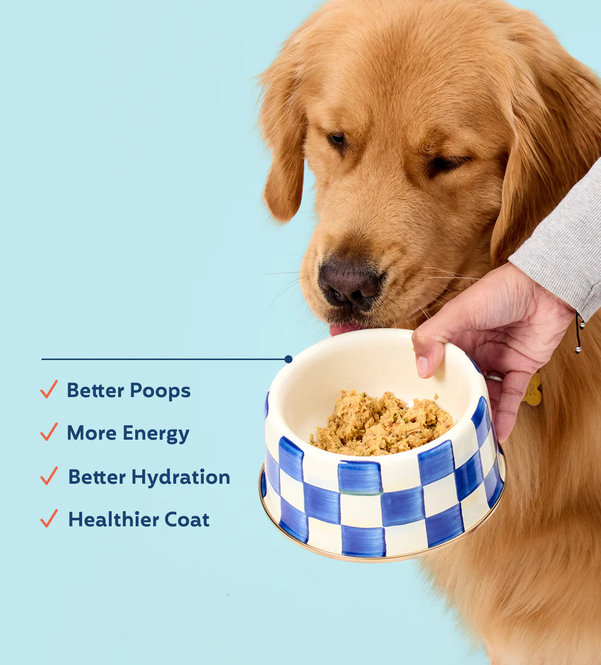 My Perfect Pet Sweetheart's Glycemic Friendly Pork