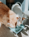 Barks and Brownies - Petite Feeding - Small - Coral