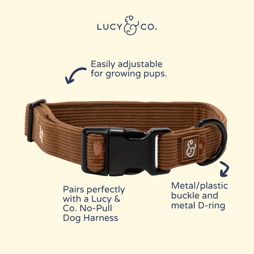 Lucy &amp; Co. - Chocolate Meadows Corduroy Collar