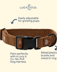 Lucy & Co. - Chocolate Meadows Corduroy Collar
